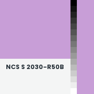 Color chip: NCS S 2030-R50B