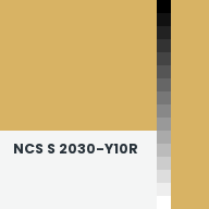 Color chip: NCS S 2030-Y10R