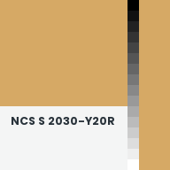 Color chip: NCS S 2030-Y20R