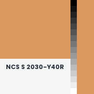 Color chip: NCS S 2030-Y40R