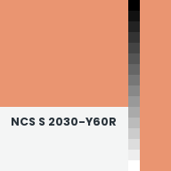 Color chip: NCS S 2030-Y60R