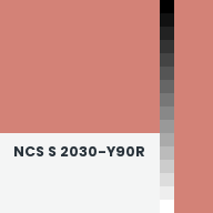 Color chip: NCS S 2030-Y90R