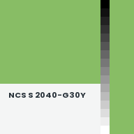 Color chip: NCS S 2040-G30Y