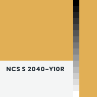 Color chip: NCS S 2040-Y10R