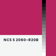 Color chip: NCS S 2060-R20B
