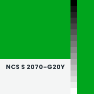 Color chip: NCS S 2070-G20Y
