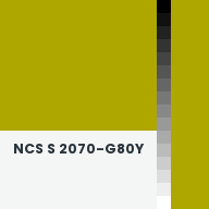 Color chip: NCS S 2070-G80Y