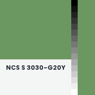 Color chip: NCS S 3030-G20Y