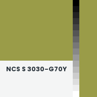 Color chip: NCS S 3030-G70Y