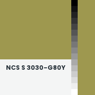 Color chip: NCS S 3030-G80Y