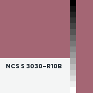 Color chip: NCS S 3030-R10B