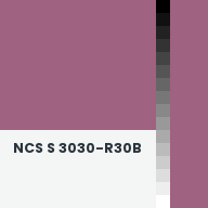 Color chip: NCS S 3030-R30B