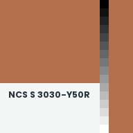 Color chip: NCS S 3030-Y50R