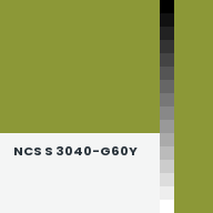 Color chip: NCS S 3040-G60Y
