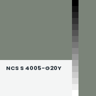 Color chip: NCS S 4005-G20Y