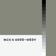 Color chip: NCS S 4005-G50Y