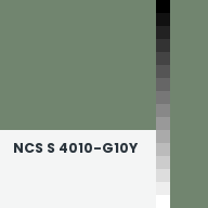 Color chip: NCS S 4010-G10Y