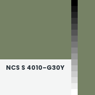 Color chip: NCS S 4010-G30Y
