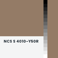 Color chip: NCS S 4010-Y50R