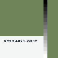 Color chip: NCS S 4020-G30Y