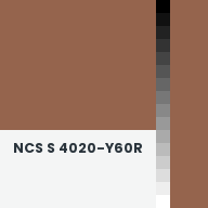 Color chip: NCS S 4020-Y60R