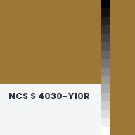 Color chip: NCS S 4030-Y10R