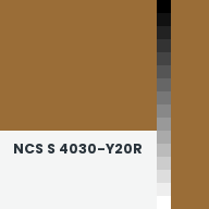 Color chip: NCS S 4030-Y20R