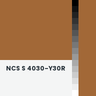 Color chip: NCS S 4030-Y30R