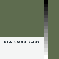 Color chip: NCS S 5010-G30Y