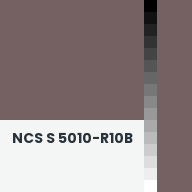 Color chip: NCS S 5010-R10B