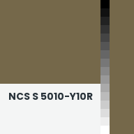 Color chip: NCS S 5010-Y10R