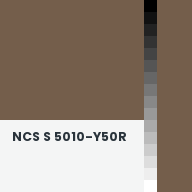 Color chip: NCS S 5010-Y50R