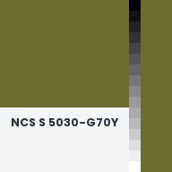 Color chip: NCS S 5030-G70Y