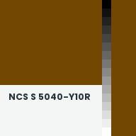 Color chip: NCS S 5040-Y10R
