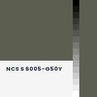 Color chip: NCS S 6005-G50Y