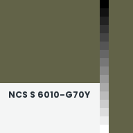 Color chip: NCS S 6010-G70Y