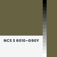 Color chip: NCS S 6010-G90Y