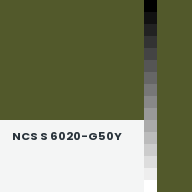 Color chip: NCS S 6020-G50Y