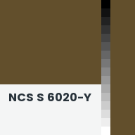 Color chip: NCS S 6020-Y