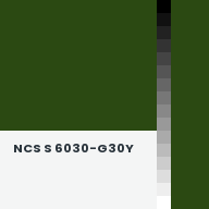 Color chip: NCS S 6030-G30Y