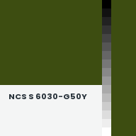 Color chip: NCS S 6030-G50Y