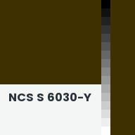 Color chip: NCS S 6030-Y