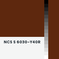 Color chip: NCS S 6030-Y40R