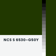 Color chip: NCS S 6530-G50Y