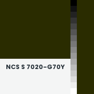 Color chip: NCS S 7020-G70Y