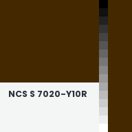 Color chip: NCS S 7020-Y10R