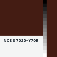Color chip: NCS S 7020-Y70R