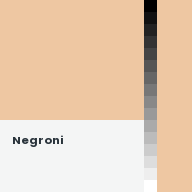 Color chip: Negroni