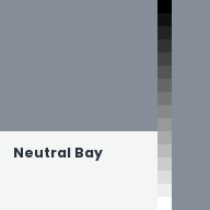 Color chip: Neutral Bay