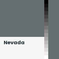 Color chip: Nevada